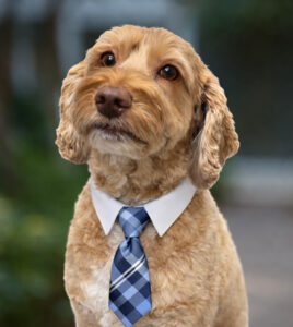 Otis Luippold Otis Luippold